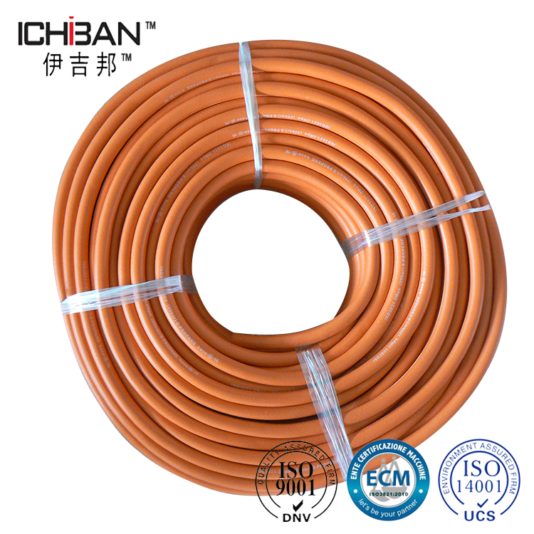Bs3213-Standard-Competitive-Quality-Rubber-LPGas-Hose-Manufacturer